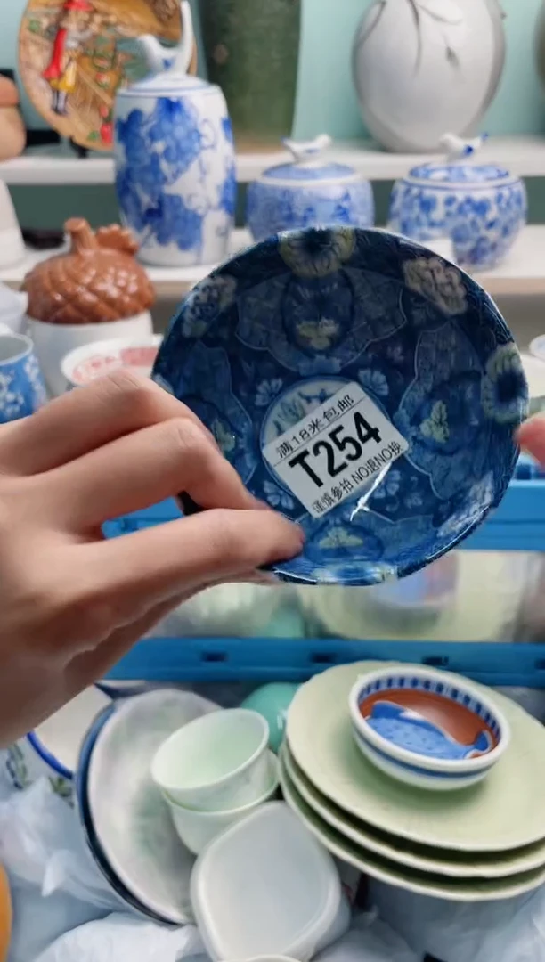 陶瓷B****青T254******