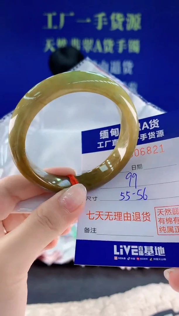 未镶嵌手镯翡翠21