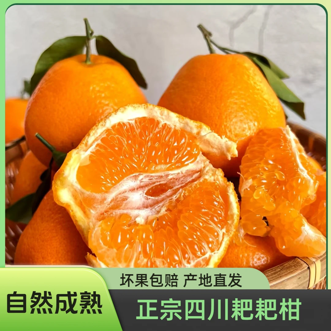 正宗四川春见耙耙柑4.5-8.5斤【产地直发】自然成熟蒲江耙耙柑