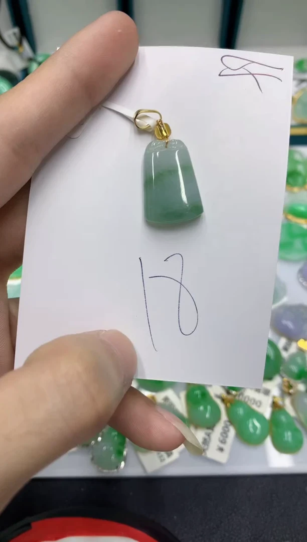 【闪购商品】翡翠颈饰未镶嵌翡翠