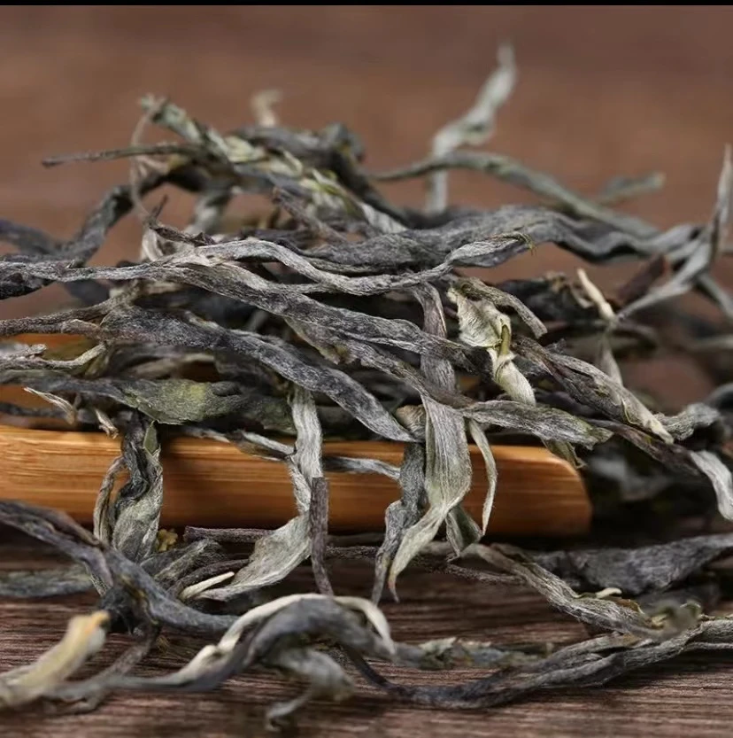 滇瑞2025年森林秘境茶100克散茶普洱生茶