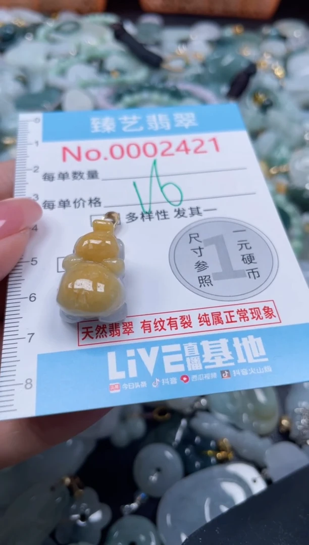 颈饰未镶嵌翡翠2421