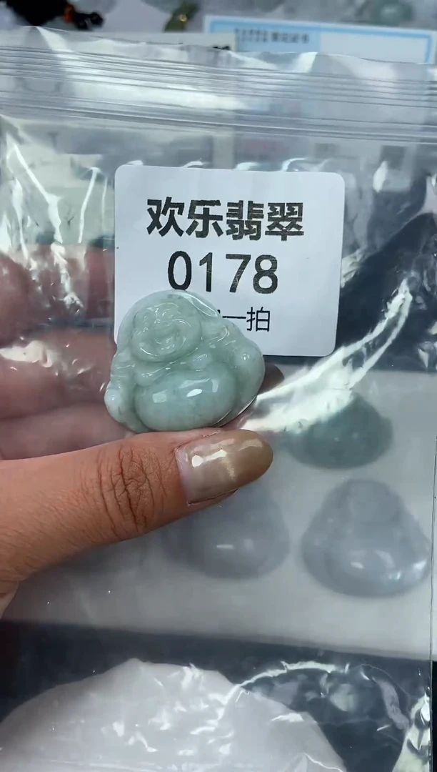 颈饰未镶嵌翡翠缅甸天然翡翠0178
