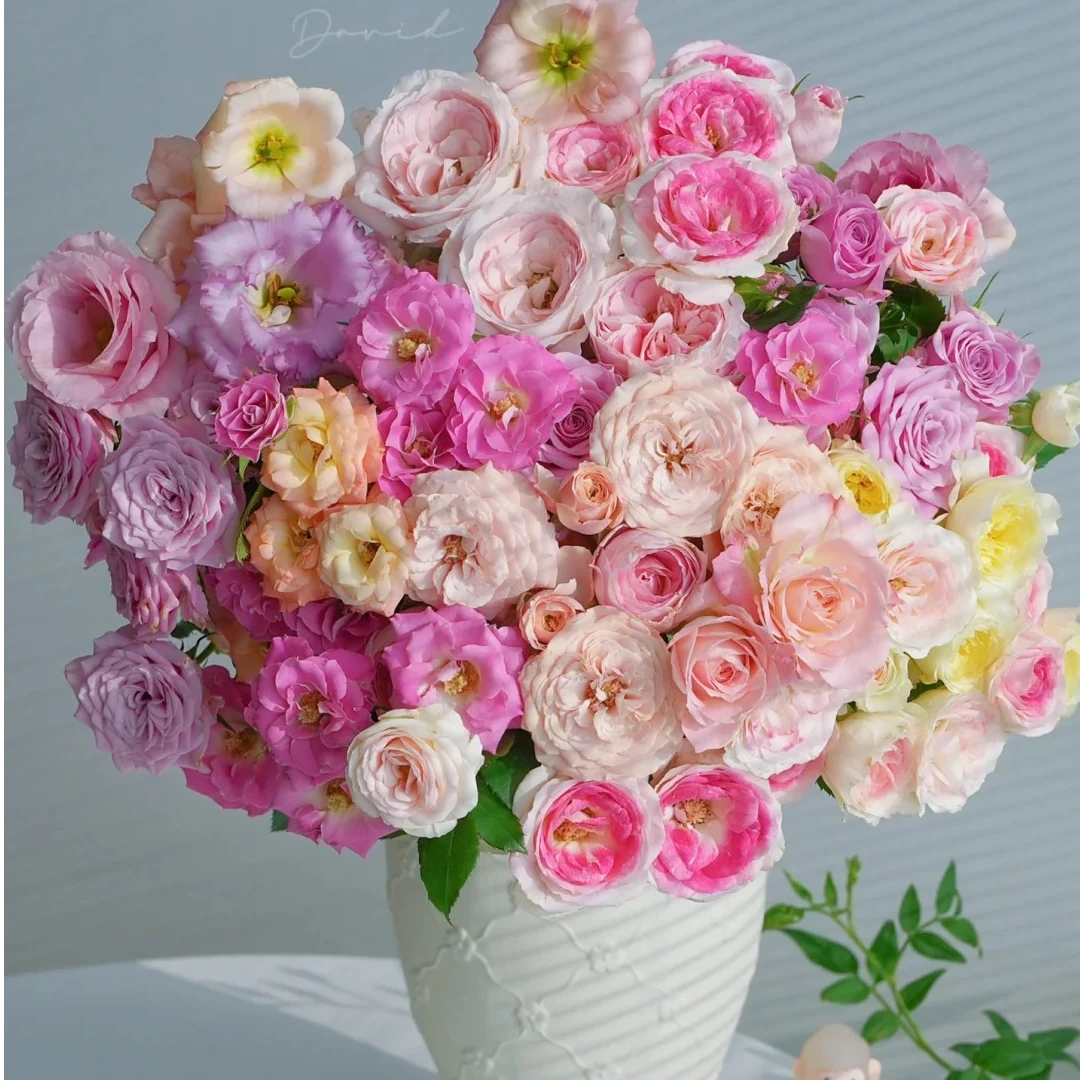 【随机多头玫瑰】多种品种玫瑰 5度以下需拍保温棉不拍冻坏不售后