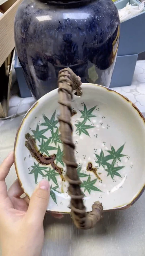 【闪购商品】/870精美瓷器感谢选购