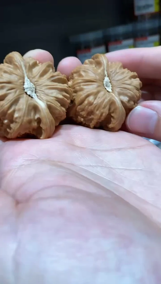文玩核桃把件微修白狮子45-46