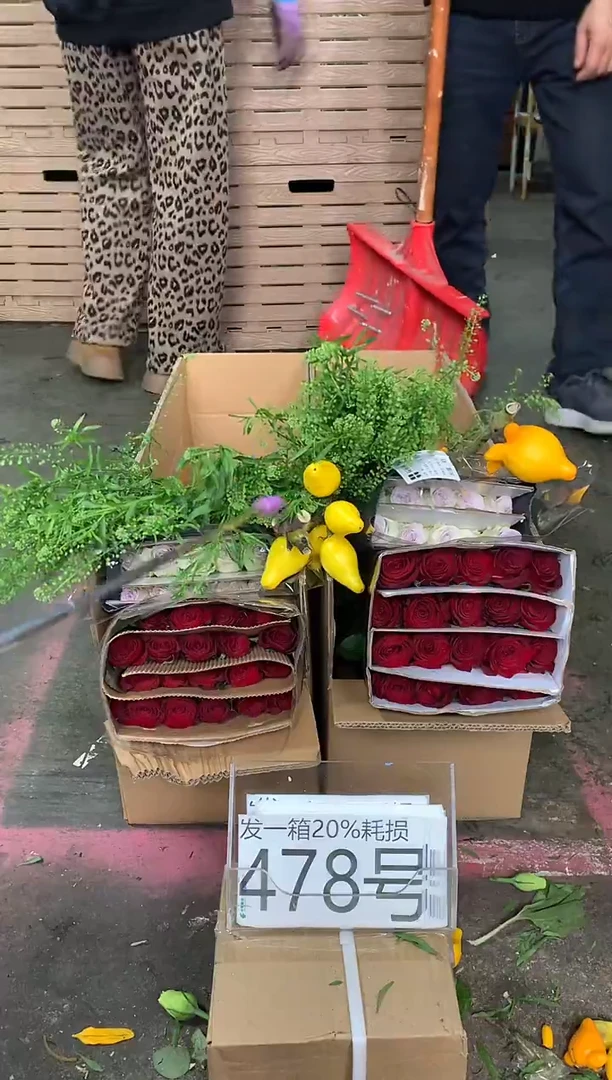 478号♥含20%耗损发一箱