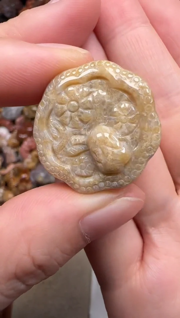 硅化珊瑚（珊瑚玉）未镶嵌颈饰763