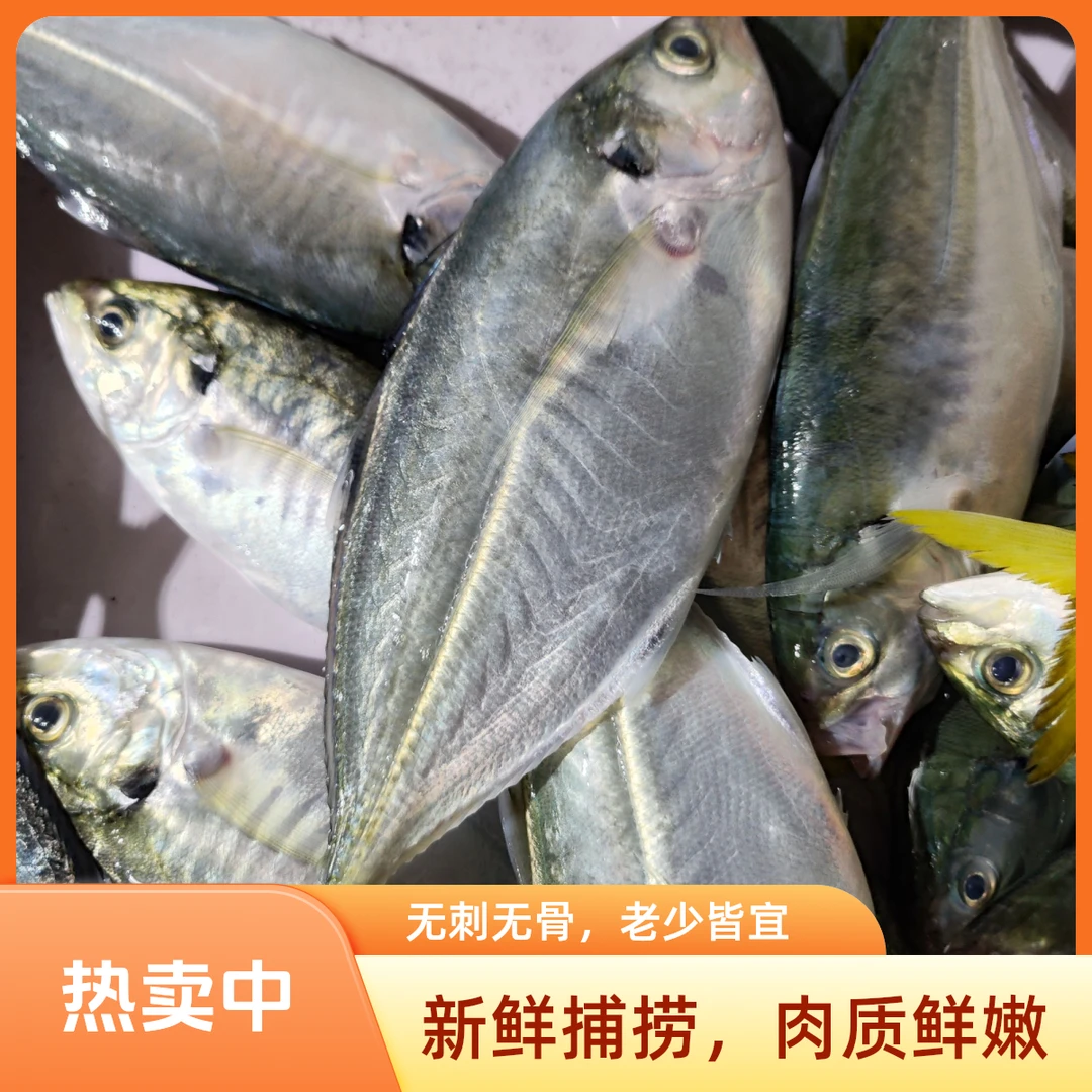 湛江本港新鲜野生海捕黄尾鱼黄池鱼2斤装顺丰冷链包邮炸鱼海鲜