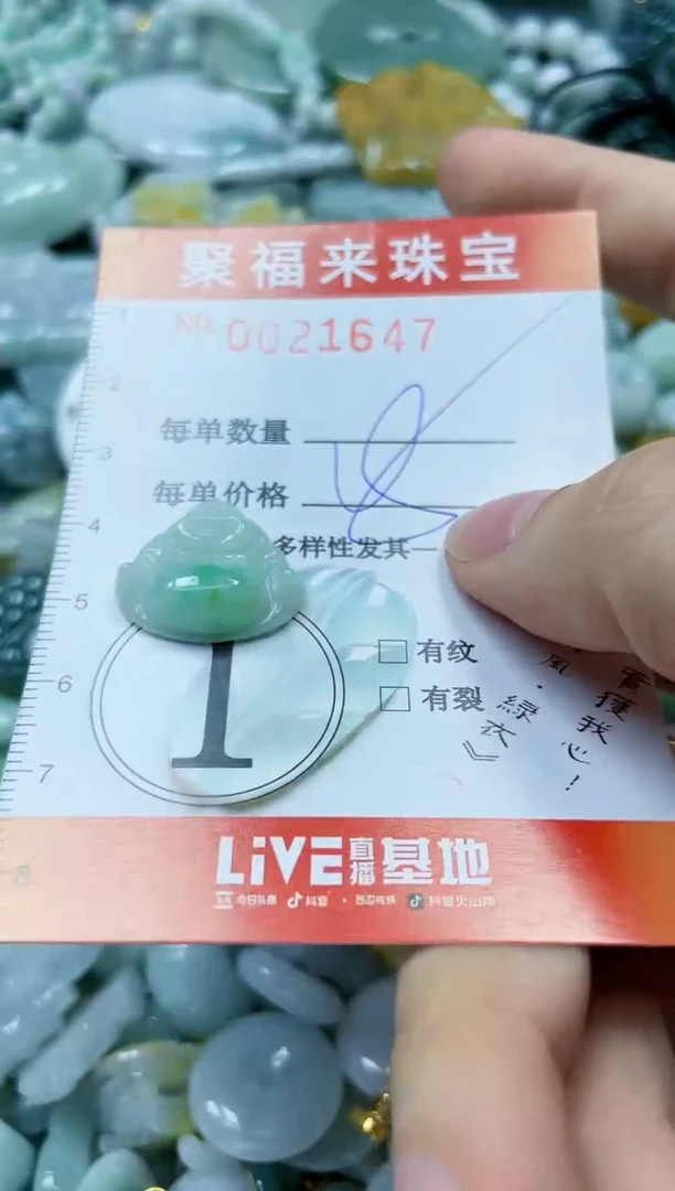 【闪购商品】翡翠颈饰未镶嵌闪购0021647