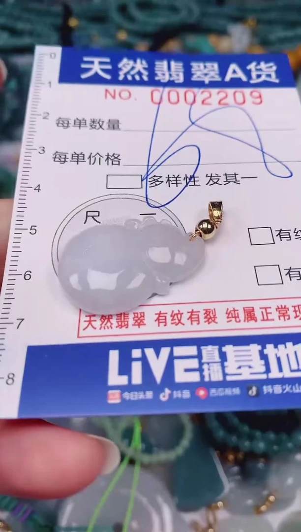 颈饰未镶嵌翡翠00002209