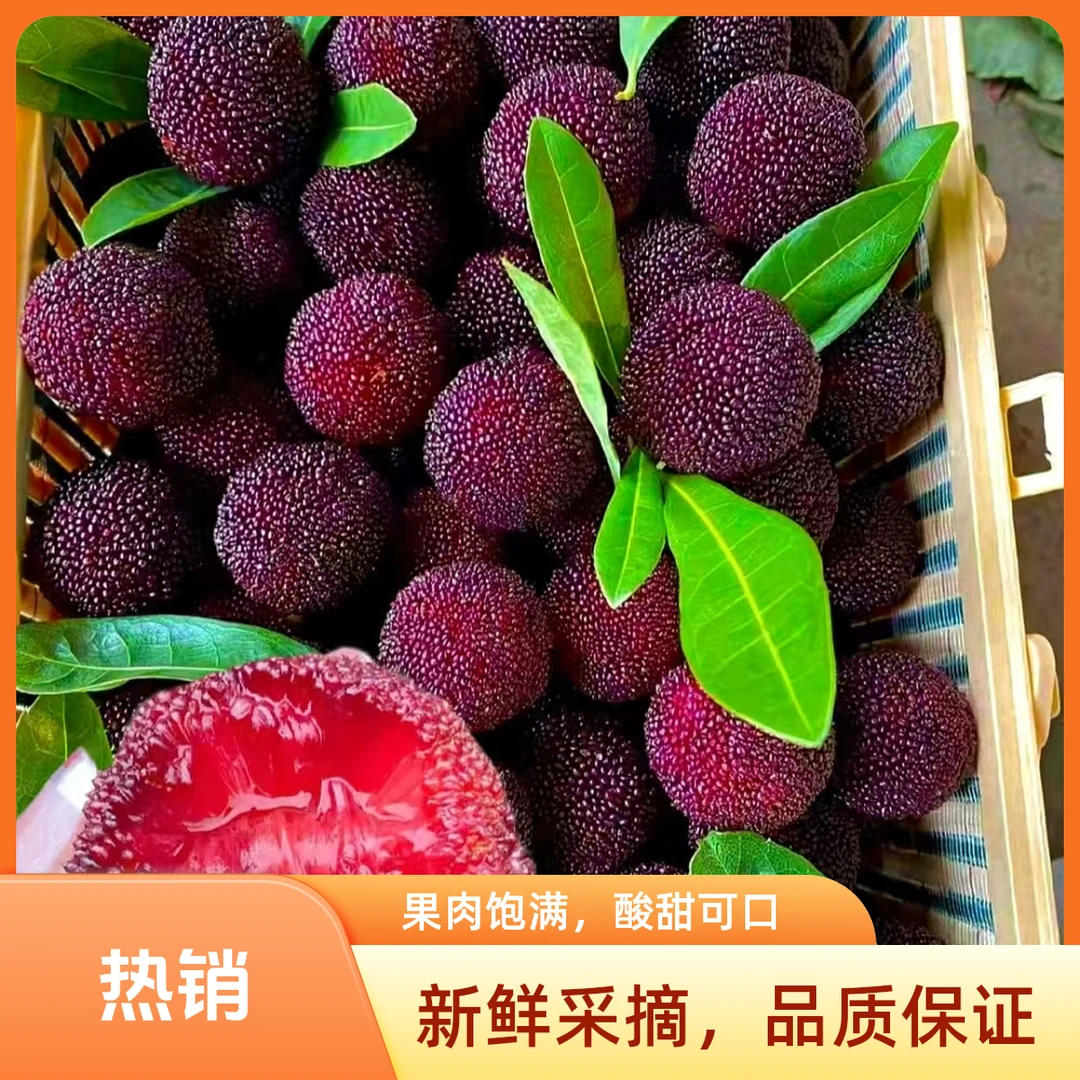 云南东魁杨梅500g