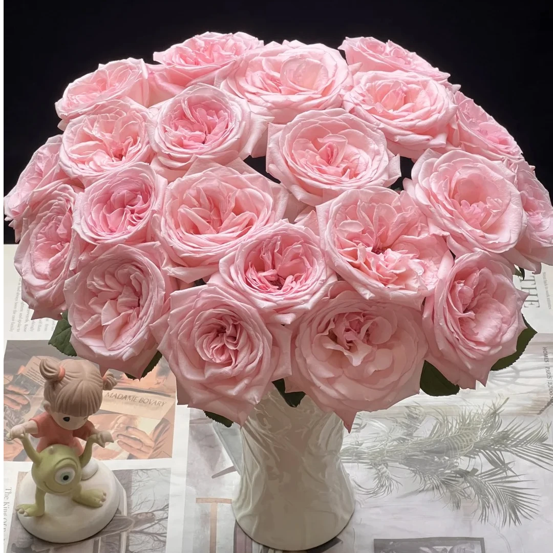 粉荔枝玫瑰  一单包邮三单京东 收到需要醒花