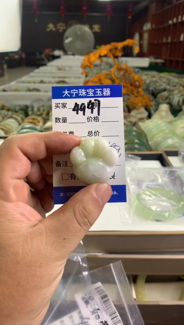 蛇纹石玉未镶嵌颈饰温*莹4947