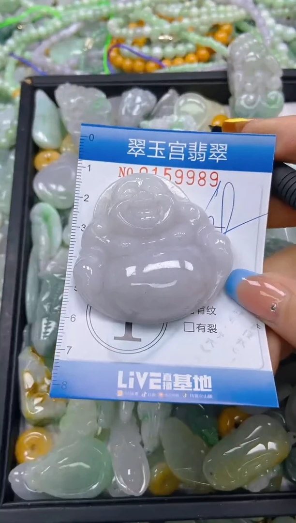 翡翠未镶嵌颈饰闪购0159989