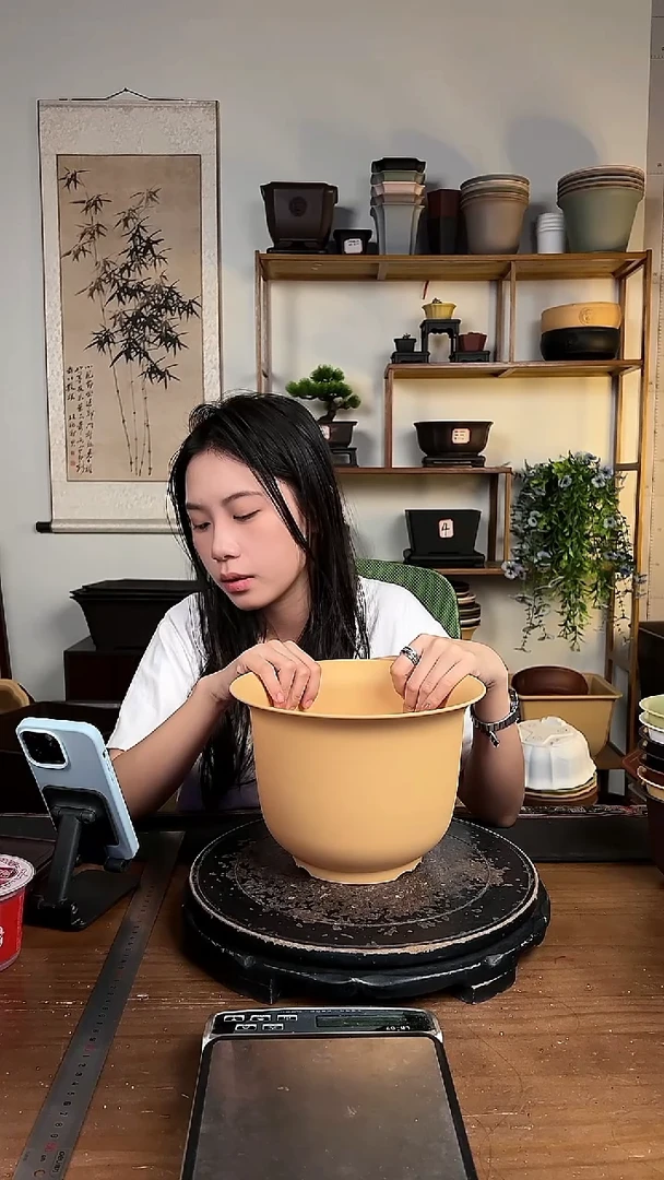 23金钟4只随机颜色