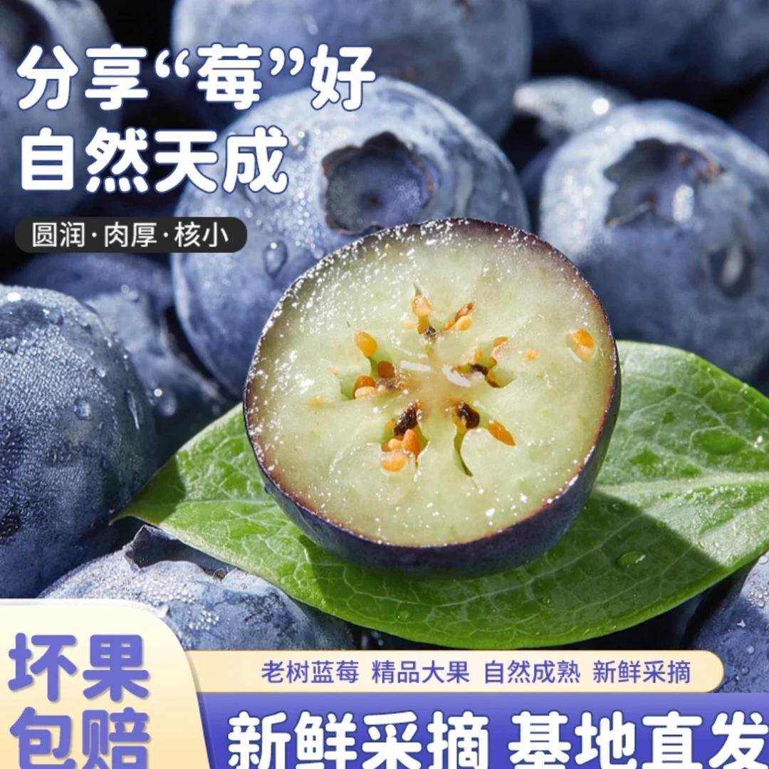 丹东L25花香蓝莓脆甜多汁新鲜采摘15-24mm400克/箱丹东花香蓝莓辽宁省丹东市
