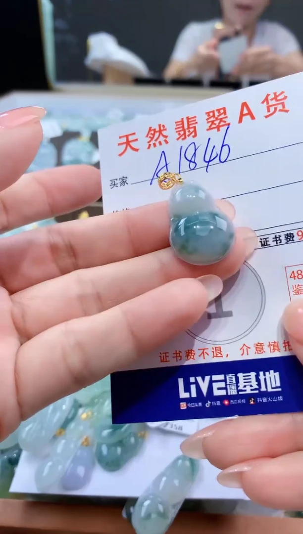 颈饰未镶嵌翡翠天然翡翠A货挂件