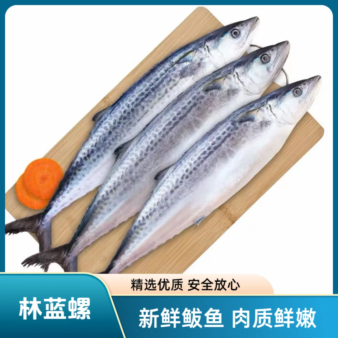 林蓝螺新鲜大鲅鱼马鲛鱼整条约1斤以上规格/新鲜鲅鱼肉质细嫩