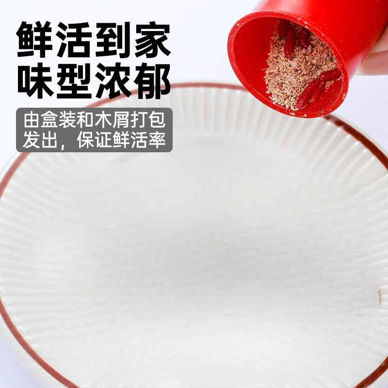 新鲜活红蛆虫脓腥钓鱼饵红蛆虫大号可钓石斑马口白条鲤鲫鱼溪哥