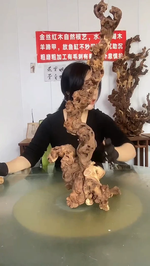 木w***金金丝红木 羊蹄甲