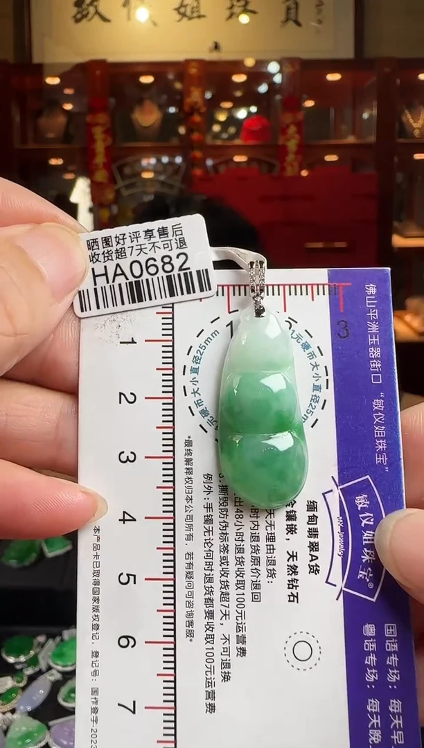 翡翠18K金镶嵌颈饰HA0682富贵豆