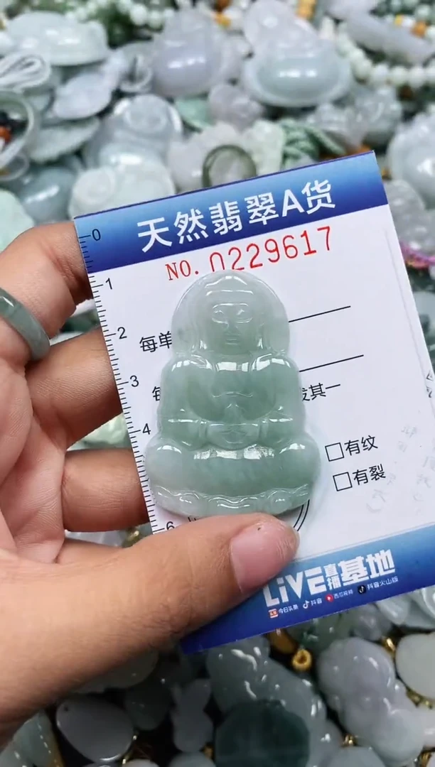 翡翠未镶嵌颈饰闪购0229617