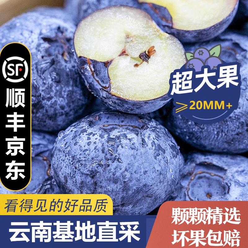 【送2盒】LYX1云南蓝莓高山鲜果新鲜花青素水果100g/1盒6盒共600g