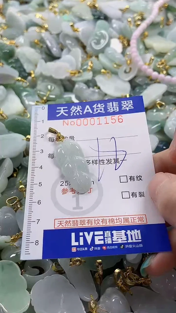 颈饰未镶嵌翡翠纯天然a货翡翠