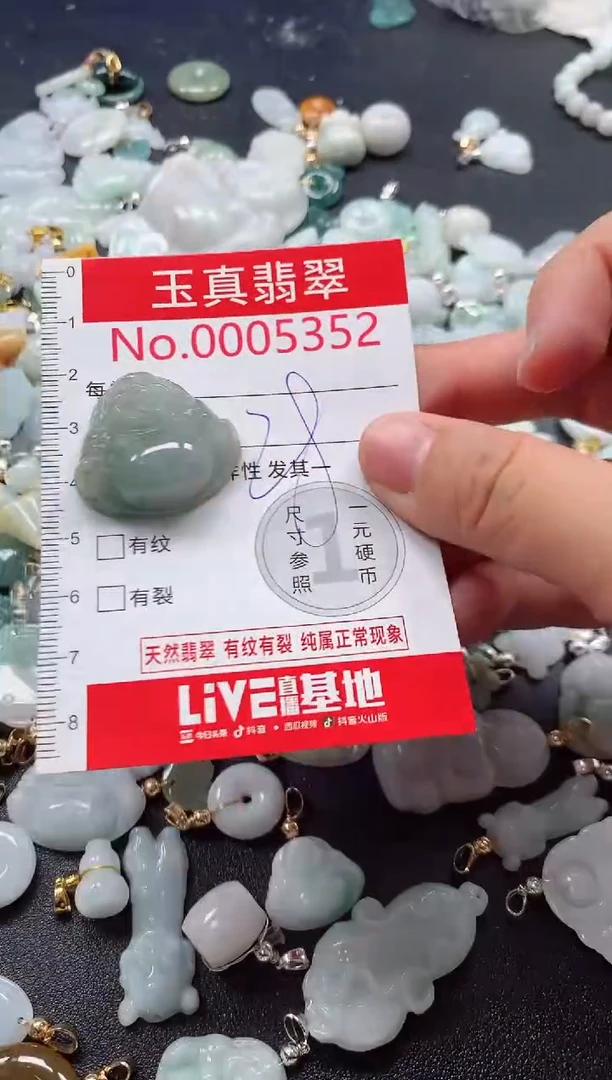 吊坠(不含链)未镶嵌翡翠5352
