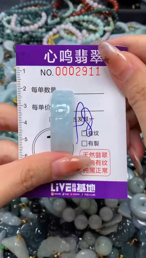 翡翠未镶嵌颈饰闪购002911