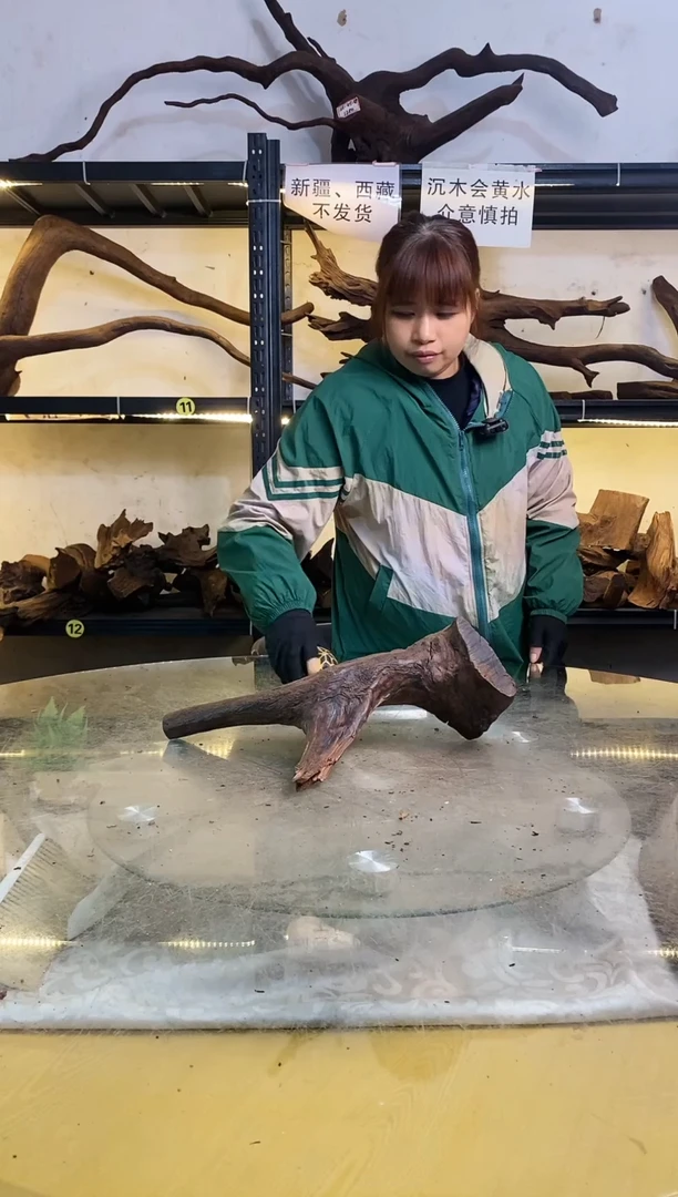 【闪购商品】柚木木艺鱼缸造景沉木180