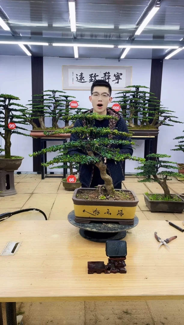 【闪购商品】000000000