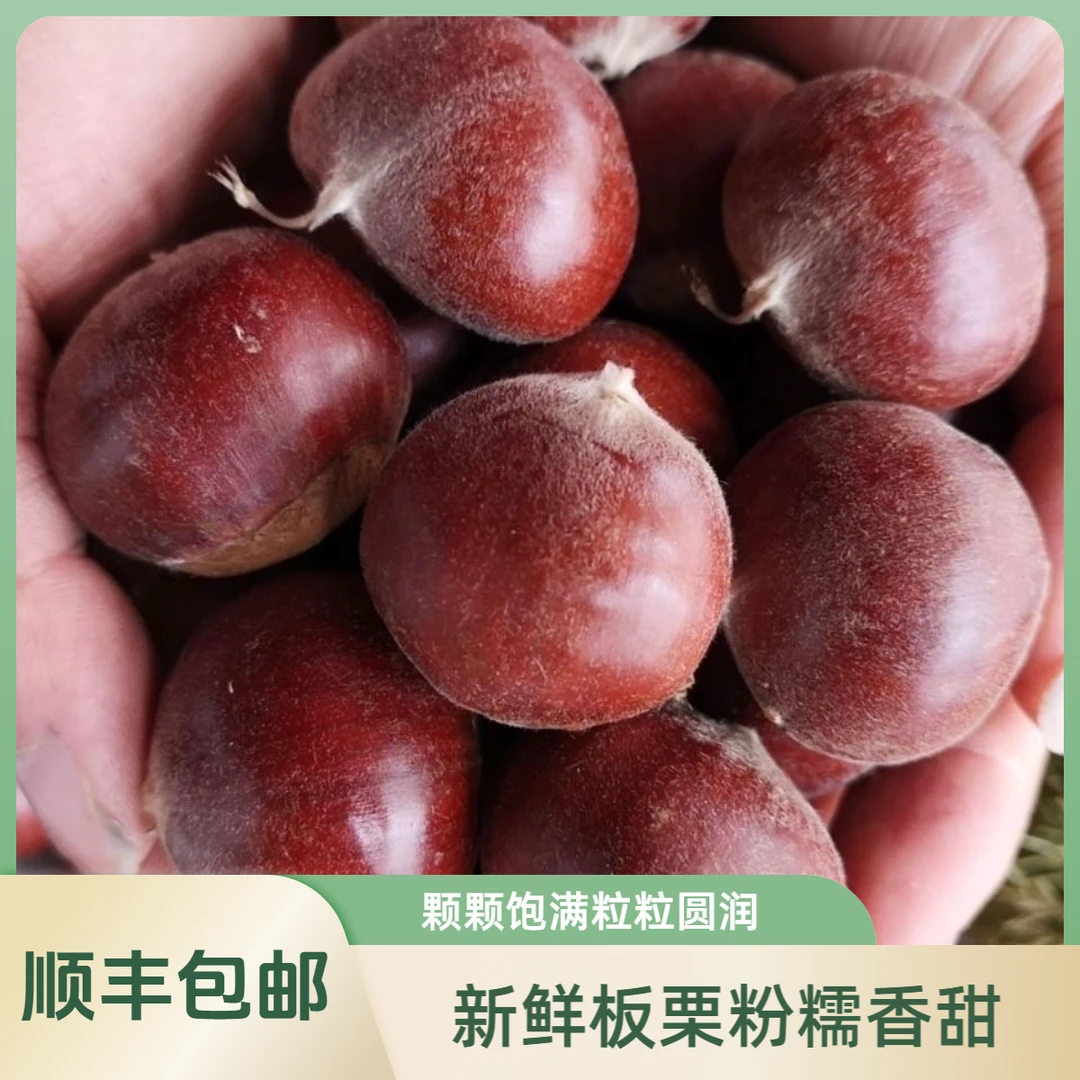 【顺丰包邮】湖南高山土板栗颗颗饱满粒粒香甜装顺丰包邮