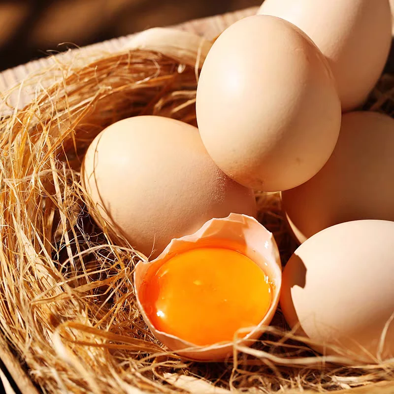 农家散养土鸡蛋初生鸡蛋鲜鸡蛋现捡现发营养美味早餐食材优质蛋品