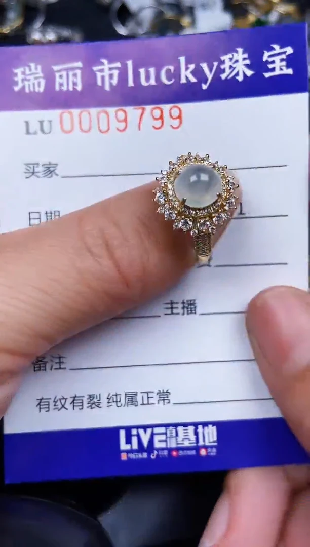 翡翠银S925镶嵌颈饰9799