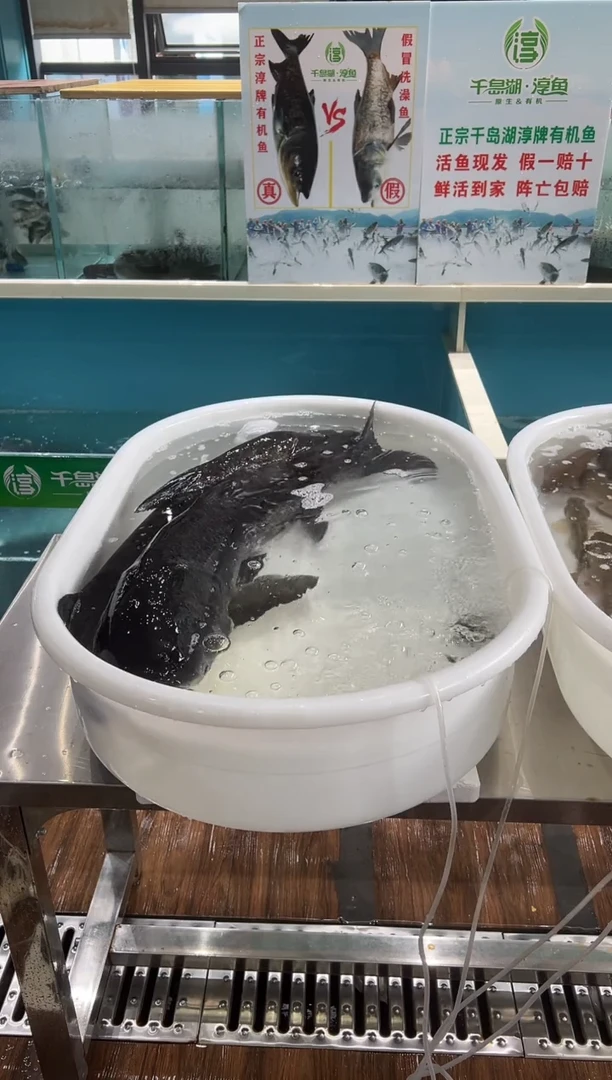中国大陆千岛湖有机鱼9斤多3条