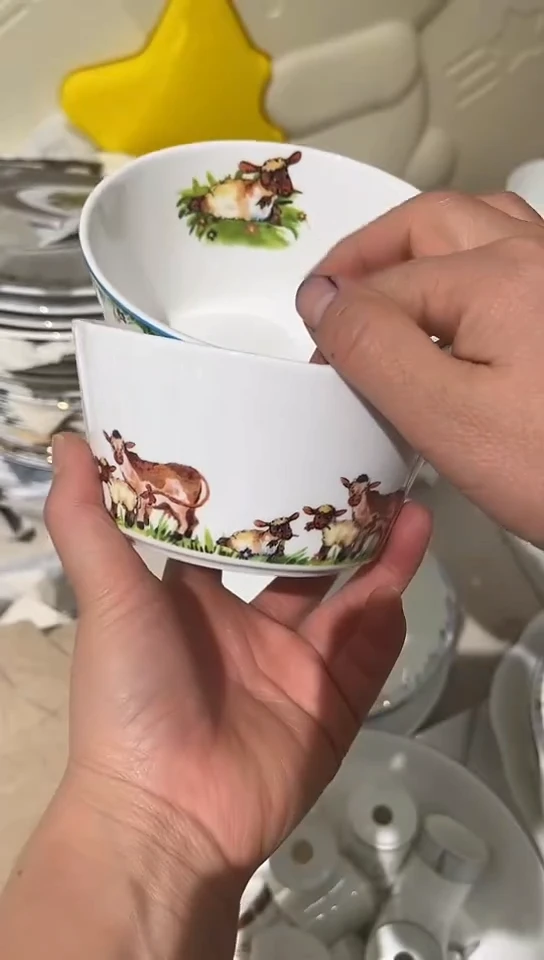 瓷5英寸各2个隆达