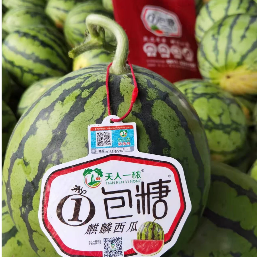 等级A 一包糖西瓜1个  约2.5kg