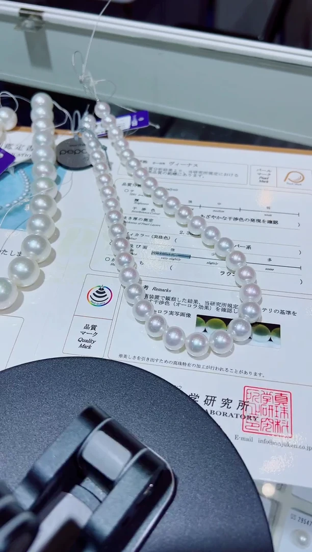 未镶嵌项链海水珍珠澳白10-11 定99不退换总价238000