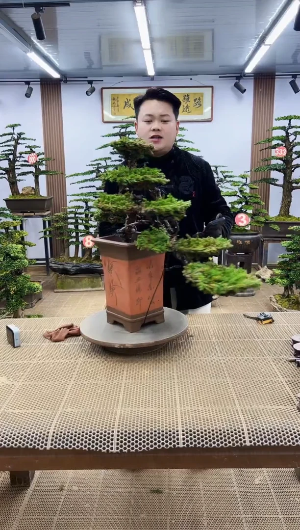 【闪购商品】0000000