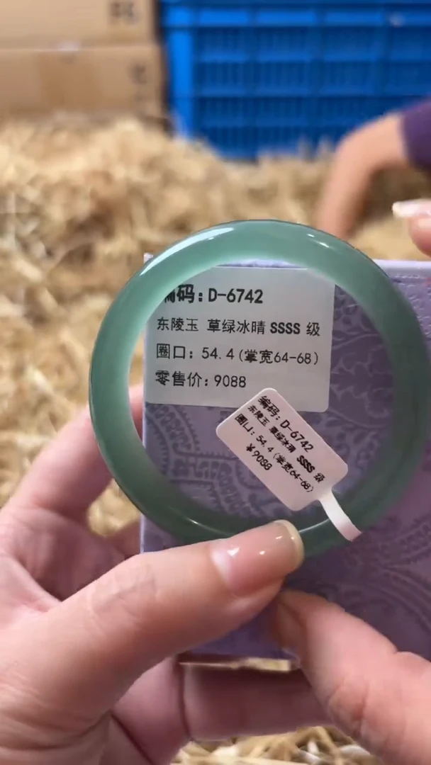未镶嵌手镯石英质玉D-6742