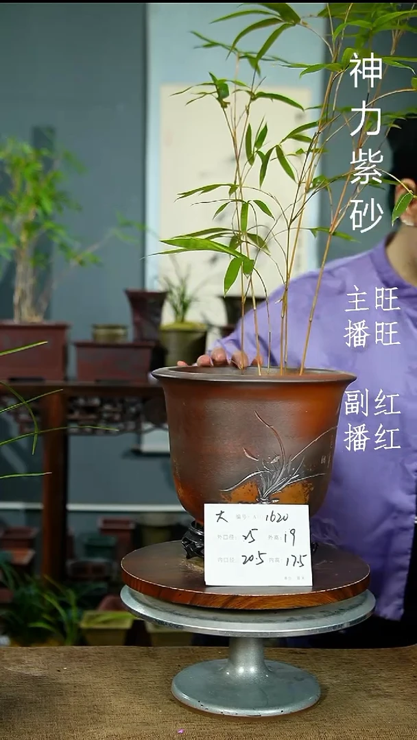 紫砂花盆1620+s 紫砂花盆紫砂