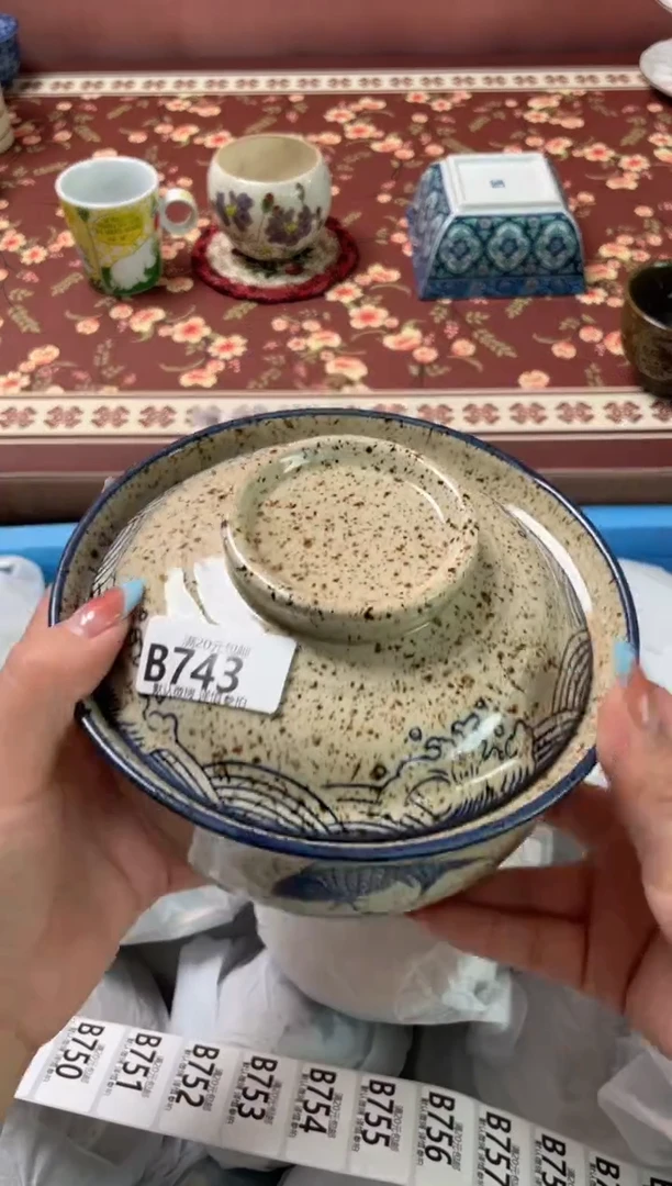 瓷片瓷器瓷器B743