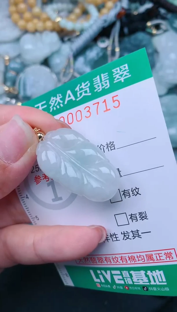 翡翠未镶嵌颈饰.0003715
