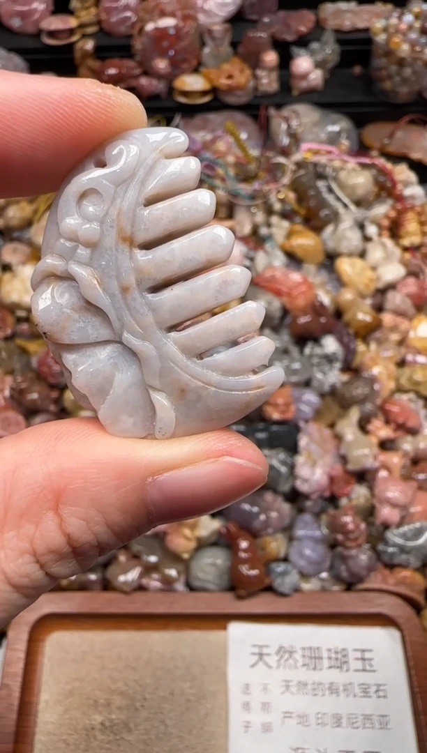 硅化珊瑚（珊瑚玉）未镶嵌颈饰432
