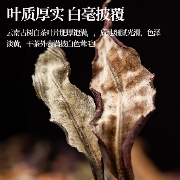 云南古树普洱班章白茶贡眉200克茶叶礼盒装