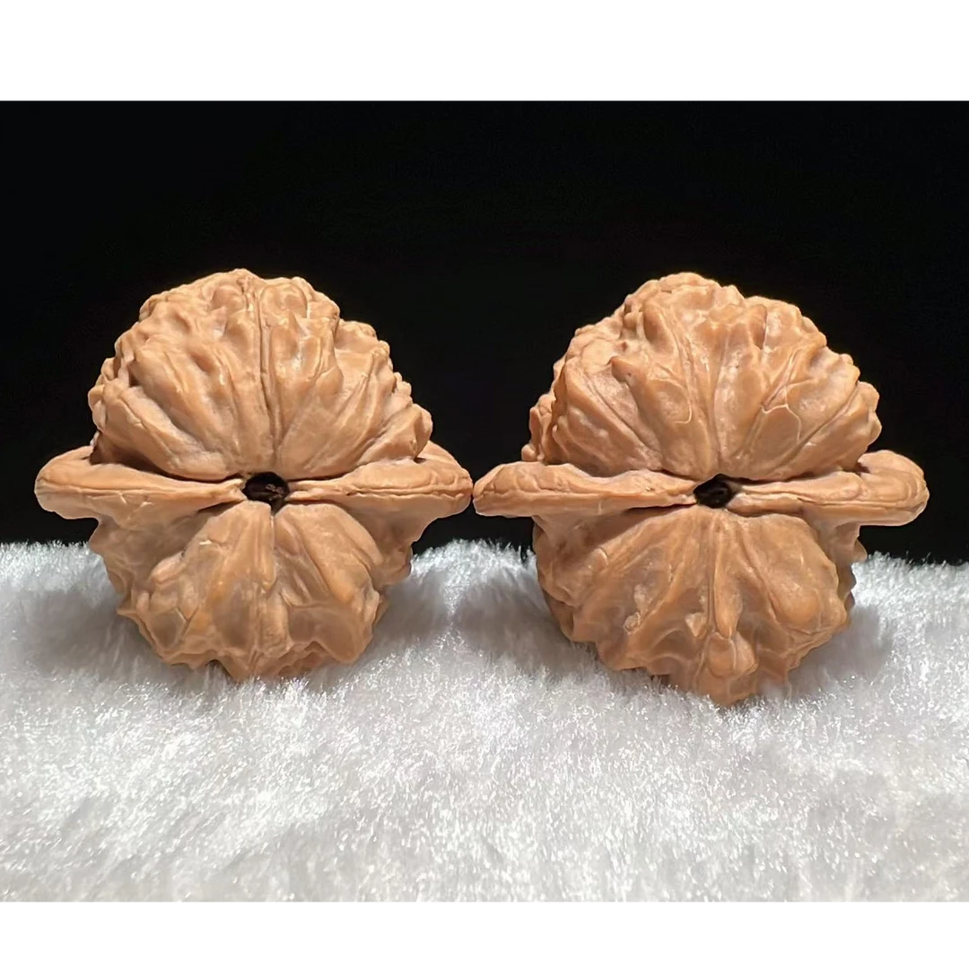 野生原树 二月红 37 甲琅琊甄选 文玩核桃