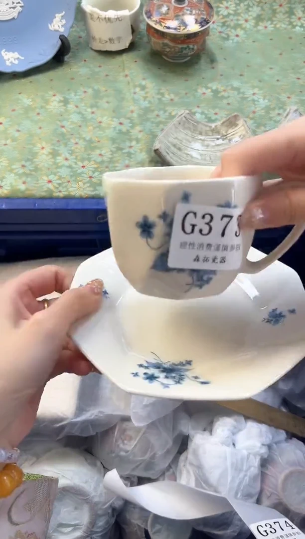 【闪购商品】瓷片          G373