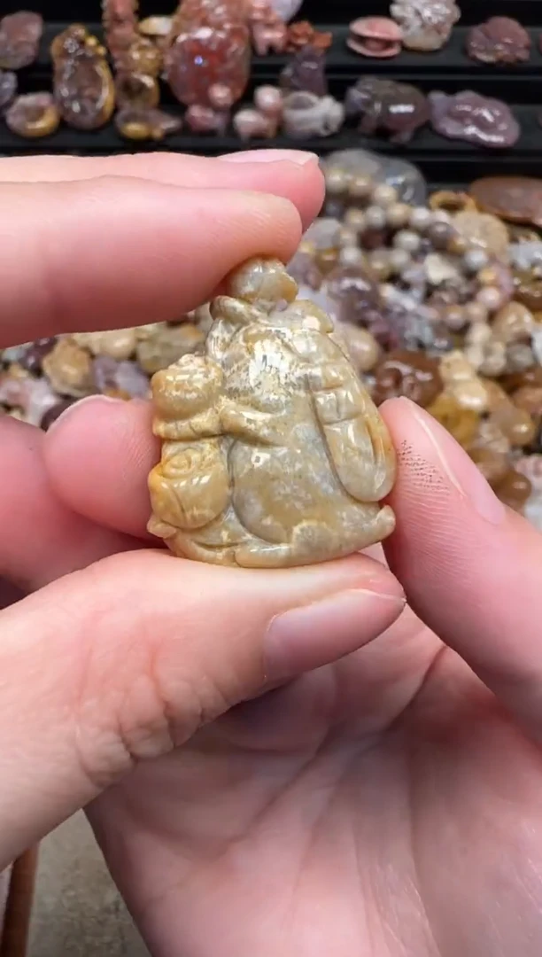 颈饰未镶嵌硅化珊瑚（珊瑚玉）029